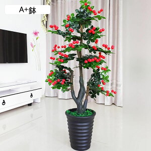 lHϗtA A ʕ  A  { CeAO[ tFCNO[ ^ ͂Ȃ lHA ϗt ϗtA ̓ hV̓ j NX