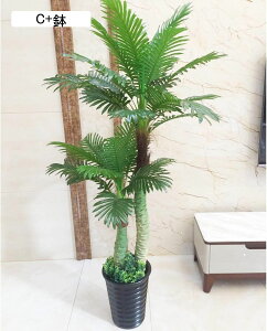 tFCNO[ A AJV hZi lHϗtA CeAO[ lHt ^Ηt { lHA ϗt bsv ͂ȂO[ fR[V A