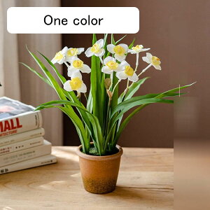 qVX ԃCeA XY ͂Ȃ A XCZ  ϗtA A { ԕr Q쏜sv  _ k ̓ CeA 蕨 x_ 