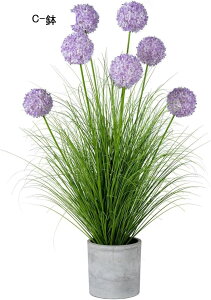 ԃCeA AWTC ۂ ԃO[ A ԑ ͂Ȃ u  ϗtA A { Q쏜sv k ins  hV̓ j  Mtg