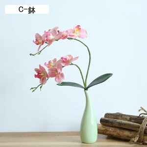 ԃCeA Ӓ ~jԊ ͂Ȃ  ϗtA A[gt[ A { Q쏜sv  _ A k 蕨 v[g p  u[P