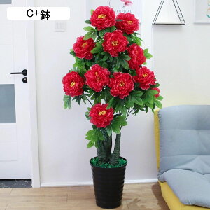 ԃO[ tFCNO[  Ύ O Ђ܂ A lHϗtA CeAO[ lHt { ϗtA ͂Ȃ bsv /O 