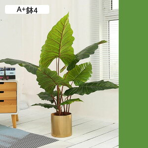 tFCNO[ A lHϗtA CeAO[ ^ { ACr[K[h A ϗt lHt sv Q쏜sv /O p[eB[ 