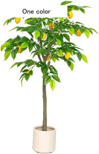 lHϗtA A ʕ   A { CeAO[ ͂ȂO[ tFCNO[ ^ Q쏜sv lHA ϗt ϗtA K[f  