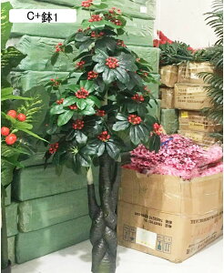 tFCNO[ ʕ A ݂  񂩂 lHϗtA CeAO[ ^ { lHA ϗt lHt ȒPb炸 ͂Ȃ X /O z