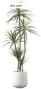 tFCNO[  Mъϗt ϗtA CeAO[ A { ^Ηt lHt lHA ͂ȂO[ k ins  z[ Be 