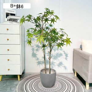 lHϗtA A ݂ ~W CeAO[{ CeAO[ tFCNO[ ^ ȒPb炸 lHt lHA ϗt 蕨 v[g 