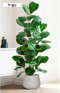 tFCNO[ A Xe̗t lHt ^ lHϗtA { ͂ȂO[ ϗtA ϗt lHA ȒPb炸 A  p[eB[̌ V