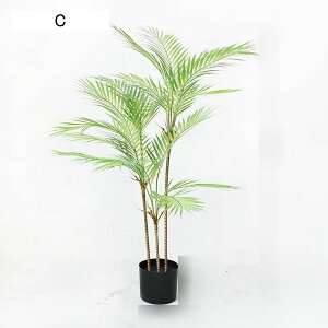 tFCNO[ AJV A lHt ^ lHϗtA { lHA ϗt CeAO[ ͂Ȃ X /O z[K[f p[eB[̌