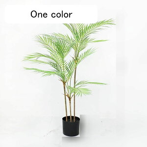 tFCNO[ AJV A lHt ^ lHϗtA { lHA ϗt CeAO[ ͂Ȃ X /O z[K[f p[eB[̌