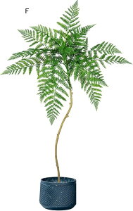 lHϗtA AJV ͂ȂO[ A { CeAO[ tFCNO[ ^ Q쏜sv lHt lHA ϗt ̑ K[f hV