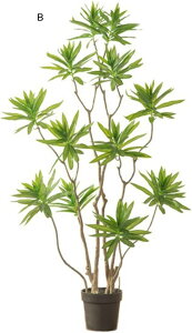 tFCNO[ hZi ͂ȂO[ lHϗtA CeAO[ A { ^Ηt lHt ϗt Q쏜sv  _ k CeA EFfB