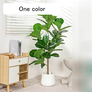 tFCNO[ Xe̗t A lHt ^ A CeAO[ ~͐A lHϗtA { ϗtA ϗt lHA ͂Ȃ Be  a 