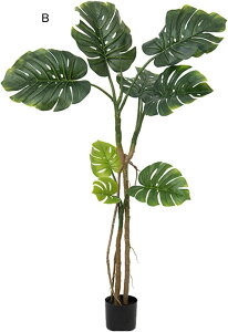 tFCNO[ A lHt Xe̗t ACr[ ^ lHϗtA { ϗt bsv X /O z[K[f p[eB[  Be fR