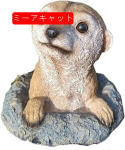 K[fjO u K[fI[ig ~[ALbg 킢  { ObY   ϋv h  CeA fR[V G |pi LO  AE