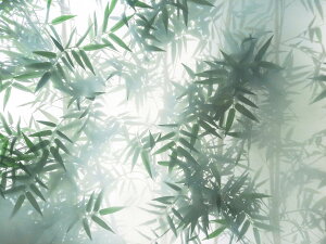 KXډBtB KX | t A ډBV[g ptB Ódz vCoV[ی Ódy[Xg O猩Ȃ x_ xbh[ ItBX  c C