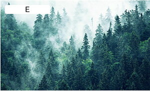  ߂V[g X A KX p tB Ih~ 䕗΍ vCoV[ی fM OJbg Ódz C rO ItBX Зp V KXV[g 