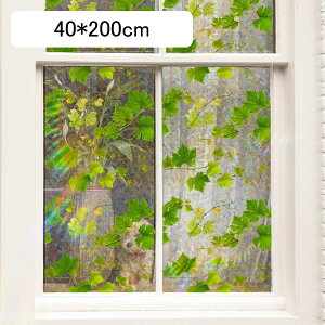 ptB ʈ 3D̊ ډBV[g ΂ t A 悯 uvJbg ߂V[g Fω XehOX Ódz xbh[ Xg ԉ iX C