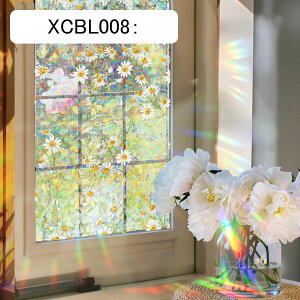ptB ډBV[g KXtB Ռ  t A ɂēFω vCoV[ی O UVJbg XehOX V[  hA ˒I  CeAV[ iX XCB