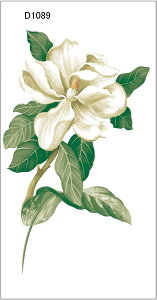 KXtB ԕKXV[g ԕ  ډBV[g S KXɓ\V[g p O猩Ȃ C߂V[g \Ă͂ \蒼  jДUh~