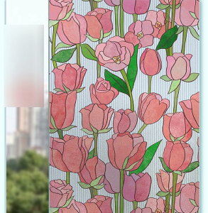 ډB KXV[g ԕ  V[g ԕKXV[g KXtB 30*100cm p Ȃ Ռ ͂ œ\ Ódz \蒼 Uh~ ΍ OJ