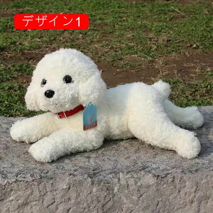  ʂ v[h gCv[h ʂ v~Aps[ v[g 킢 G Mtg CȎe gCv[h VR  v[h ʂ a v