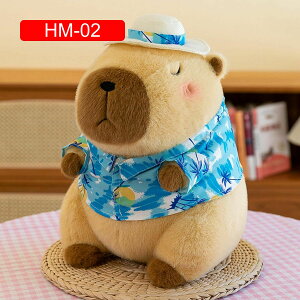 ʂ Jso    GG _炩  ӂ ӂӂʂ Jsol`    VN Mtg v[g j \t@ Ce