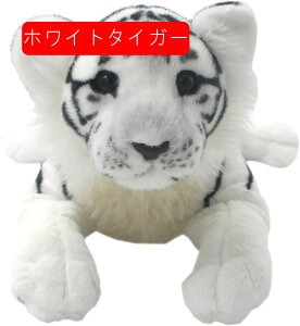   ^ A ^CK[  ʂ q a v[g  Q n  YQNbV GG C  D  q X 