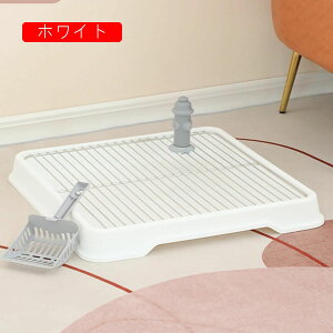 gCg[ pgC 2wfUC XeX|bV }[LO|[t ybgpg[ ybggC |ȒP h~  g[jO}bg 56*56*7cm  