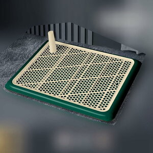 pg[ 2w bVJo[ }[LOt ȒPɑ| ߂܂ gCg[ pgCg[ ybgg[jO Ə𐴌ɕۂ g[jO ppf 