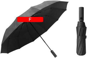 P ܂肽ݎP J 10{ Y100Ռ ՔM Ăh~ ˑf 肽ݎP ϕ  Jp ՌՔM OՒf xOXt@Co[