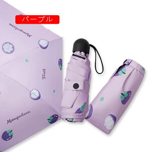 yʕE[|[`tz܂肽ݎP 6{ Jp PJPp ܂ݎP fB[X J ϕ IV y P RpNg 킢