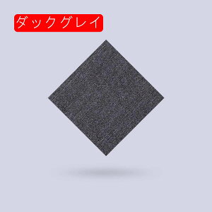 WCg}bg ^CJ[ybg J[ybg^C RɃXvCX ē\邾̊~߃J[ybg^C ~ Ȃ OK 20g L ҂̊~ߑ΍ ړI 