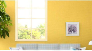 Lb` CNV[g  V[ ϔM V[g ǎ h ^CV[ ^CV[g UCN^C bJ h[ XebJ[ 60cm*3m h~ ǎV[  DIY 1C