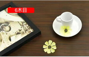 ǎ ؖ CNV[g h ؖڃV[g ǎ  ǎ 9ؖ V[^Cv  ϔM h h Lb` gC  ǎV[ 30cm*10m ͂ k ݕǎ