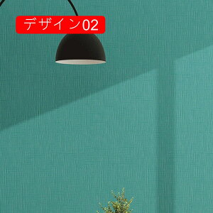 k sN 60cm*10m  n ǎV[ {I ÂƋ e[uV[g CeA CNV[g tH[ fUC02 EH[XebJ[  ̂t vZX mg