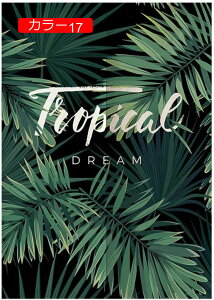 J[e ̂ Ԏd؂ CeA u₩ hAJ[e Ǐ k g[ ag  ւ L rO HX J[ g[ Og GKg  ̓  N