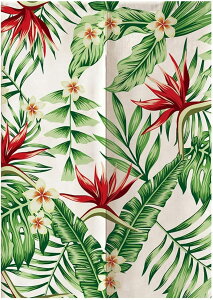 ̂ Ip[g u` t uE g vCoV[̕ی J[e ̂Ռ ډB O     J[ 킢  rO fM Lb`