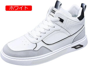 6cmAbv nCJbg Xj[J[ Y V[NbgV[Y  ^C Xg[g JWAu[c y  ₷