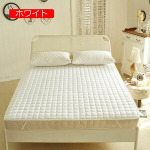 t ~pbh x[W _u h_j xbhpbh VO ʋC    LeBOH I[V[Y ~pbh ܂ 􂦂 Q ~pbg [ xbhpb