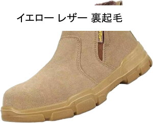 SC {v U[ N ʋCEt [XAbv TChSA Z[teB[V[Y Y fB[X ƌC ʋC h c hh~ H ₷ _ Ȃ Ռ