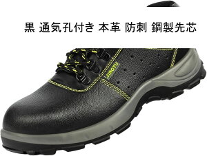 SC 傫TCY {v U[ [XAbv Z[teB[V[Y ~hJbg Y fB[X ƌC |c Bݔh~ ɂ y H C K Ȃ t 