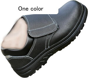 SC {v Jo[t N [XAbv ~hJbg U[ XG[h Z[teB[V[Y Y fB[X ƌC ܐی hh~\[ ~  C 