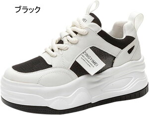 ₷ Xj[J[ K V[Y ʋΌC 7.5cm tďH d   Ȃ s fB[X [XAbv V[NbgV[Y TCY [Jbg l  C 