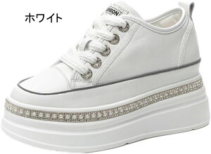 Cq[ Xj[J[ fB[X EFbW\[  V[NbgV[Y Xj[J[ q[8Z` ₷ tďH~ CXg[ RXv  ʊw ʋ 풅p 