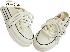 Xj[J[ [XAbv fB[X fbLV[Y  tďH~ y LoX z r ؂ Vv n JWA 킢  ₷ tbgV[Y ^C 