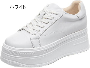 Cq[Xj[J[ fB[X Xj[J[ JWAV[Y  r V[NbgV[Y V[Y [XAbv 7cm q[Abv y gAbv wlC [t@