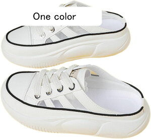 T{T_ fB[X Xj[J[  bV Xbp JWAV[Y ƂȂ [XAbv ʊw gUP E֗ 4cm EH[LO _炩 wC ʋC SC fbL