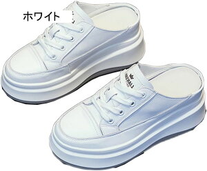 Xb| Xj[J[  [Jbg JV 8cm EFbW\[ ₷ fB[X tďH ᔽ NbV EH[LOV[Y 傫TCY i[XV[Y JWA l