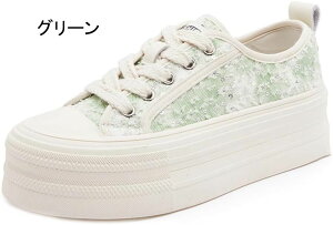 Xj[J[ fB[X [Jbg fbLV[Y LoX 5CMq[ [XAbv JWA ₷  ₷ IV EH[LO y RtH[g Ȃ r 